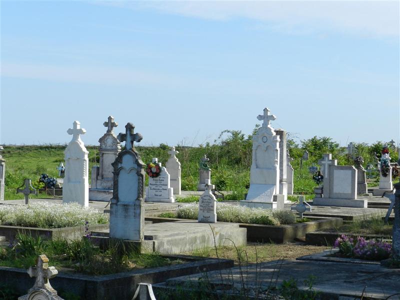 27_05_12 Friedhof GrJ (5)