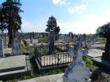 27_05_12 Friedhof GrJ (1)