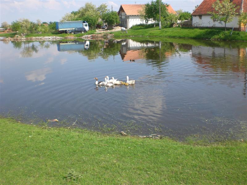 19_05_11 Friedhof GrJ (41)