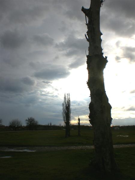 GrJ vor Gewitter -1 11_2010