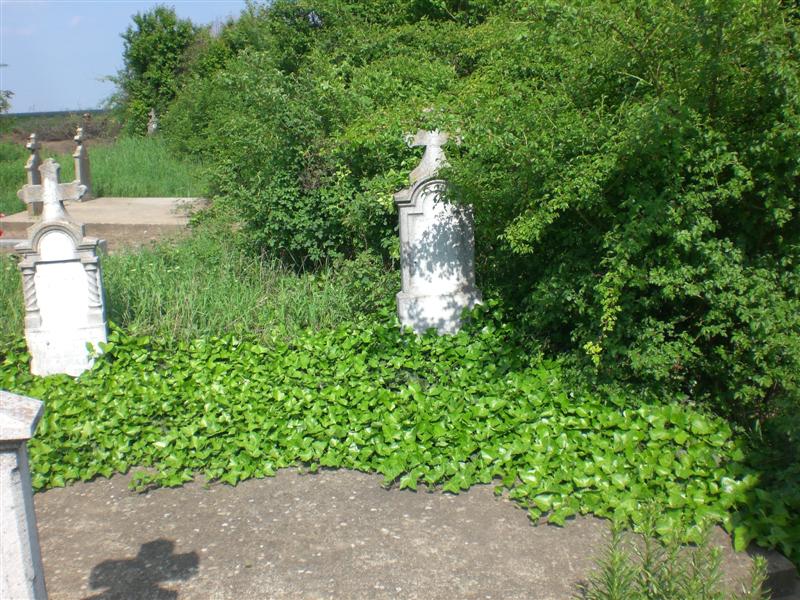 01_05_2010 Friedhof KlJ -13