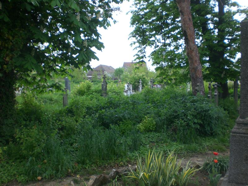 01_05_2010 Friedhof KlJ -15