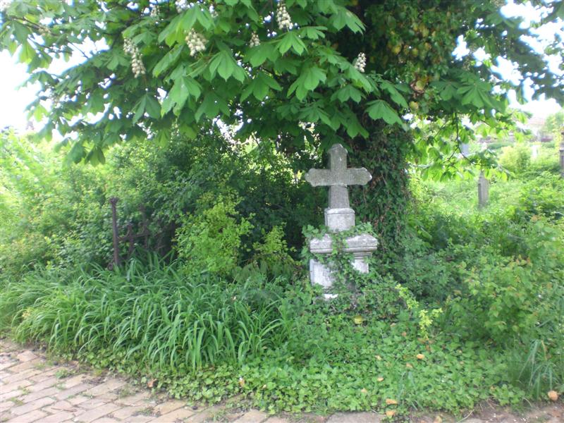 01_05_2010 Friedhof KlJ -7