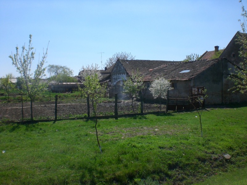 21_04_13 Haus Schmidt KlJ (14)