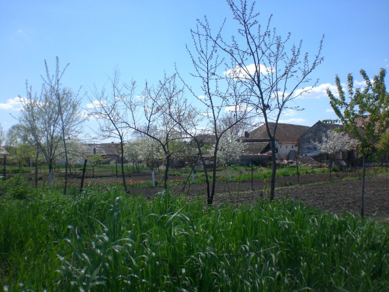 21_04_13 Haus Schmidt KlJ (2)