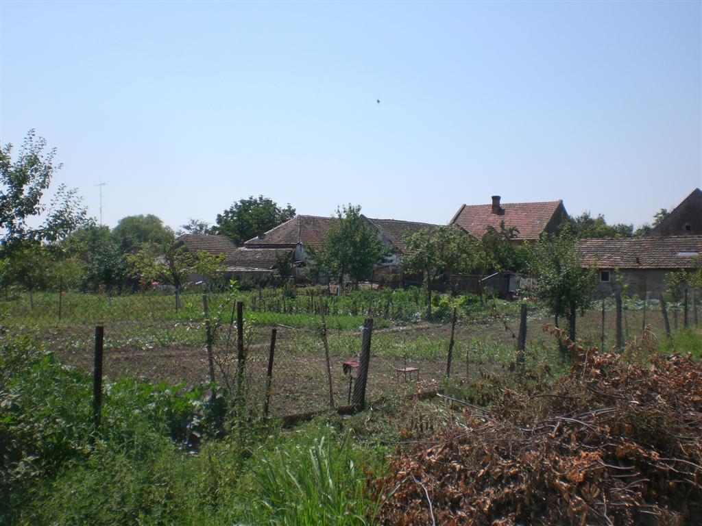 KlJ 16_07_2010 Friedhof (29)