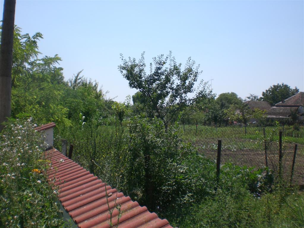 KlJ 16_07_2010 Friedhof (30)