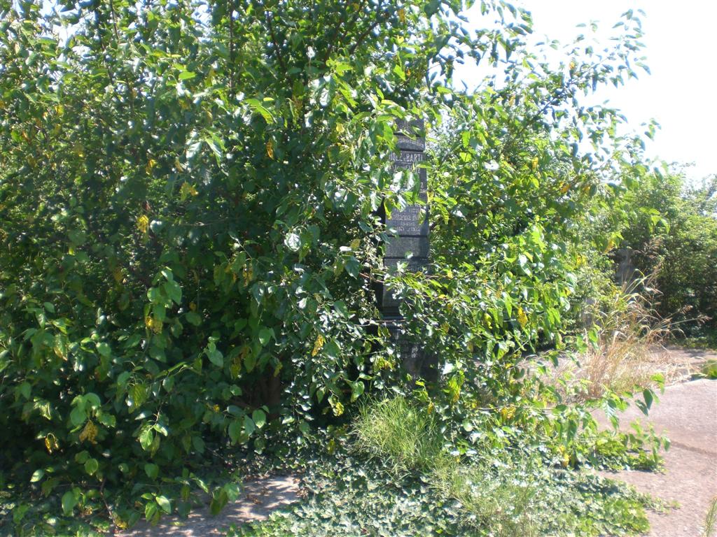 KlJ 16_07_2010 Friedhof (39)