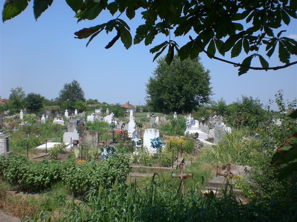 KlJ 16_07_2010 Friedhof (42)