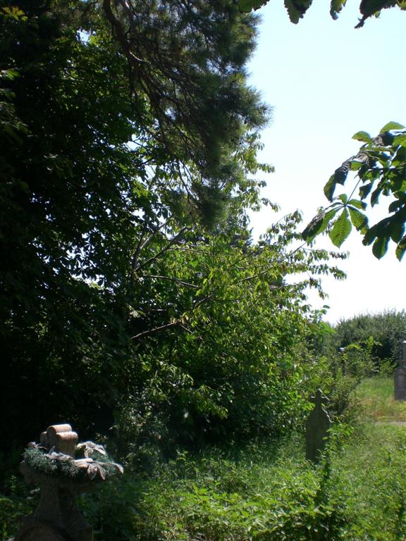 KlJ 16_07_2010 Friedhof (49)