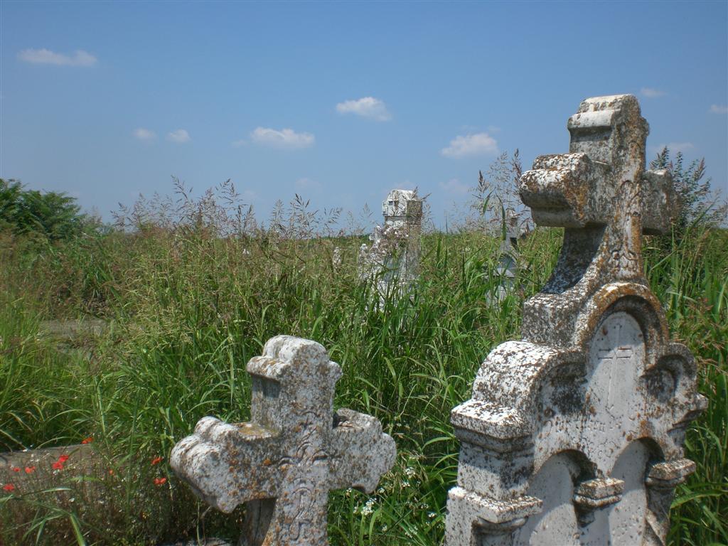 KlJ 16_07_2010 Friedhof (58)