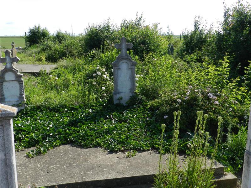 27_05_12 Friedhof KlJ (2)