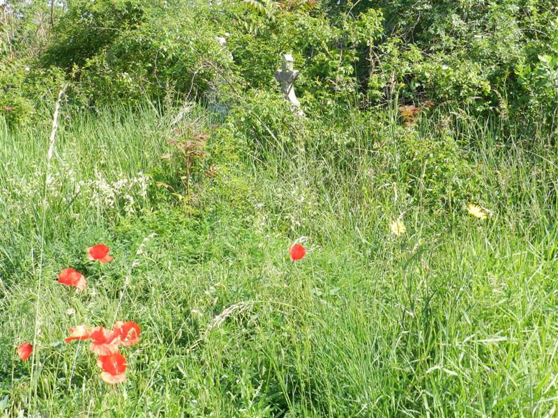 27_05_12 Friedhof KlJ (4)