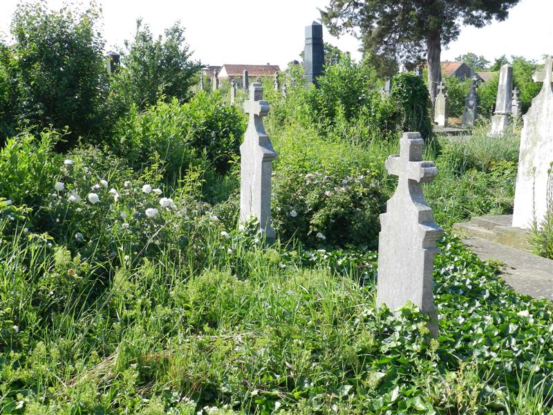27_05_12 Friedhof KlJ (7)