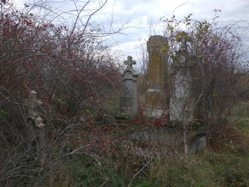 Friedhof KlJ 11_2010 (6)