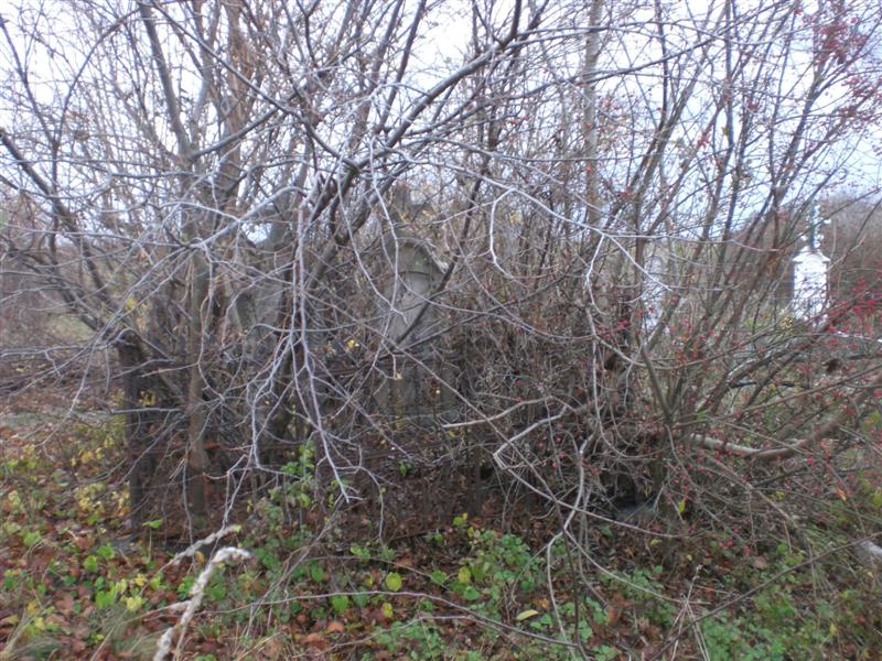 Friedhof KlJ 11_2010 (7)