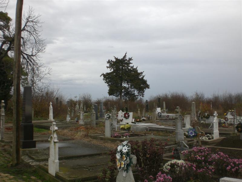 Panorama -3 Friedhof Klj 11_2010 (5)