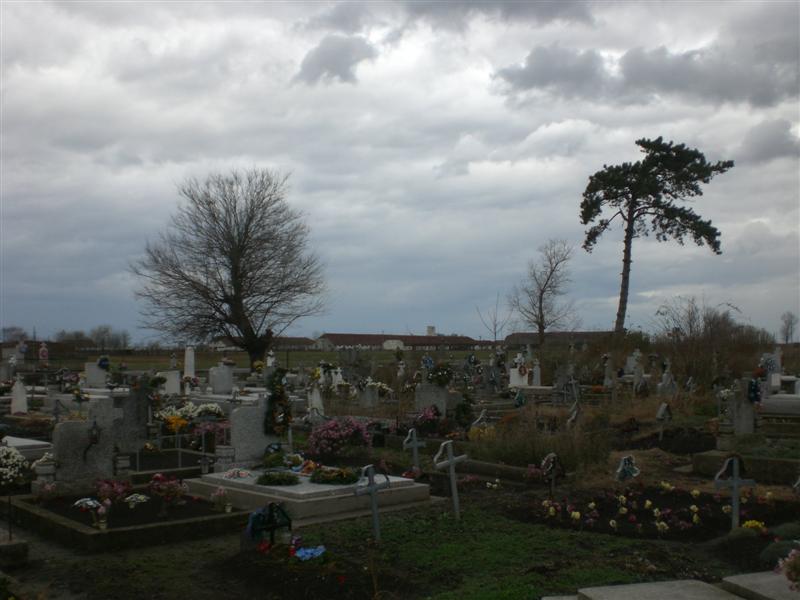 Panorama -3 Friedhof Klj 11_2010 (8)