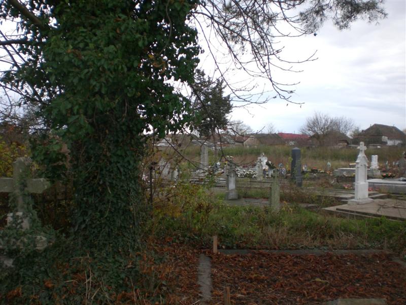 Panorama 2 Freidhof KlJ 11_2010 (2)