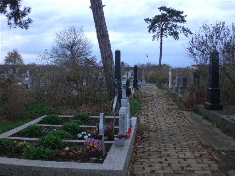 Panorama 2 Freidhof KlJ 11_2010 (8)