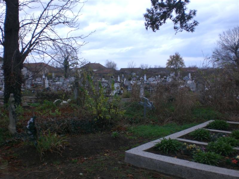 Panorama 2 Freidhof KlJ 11_2010 (9)