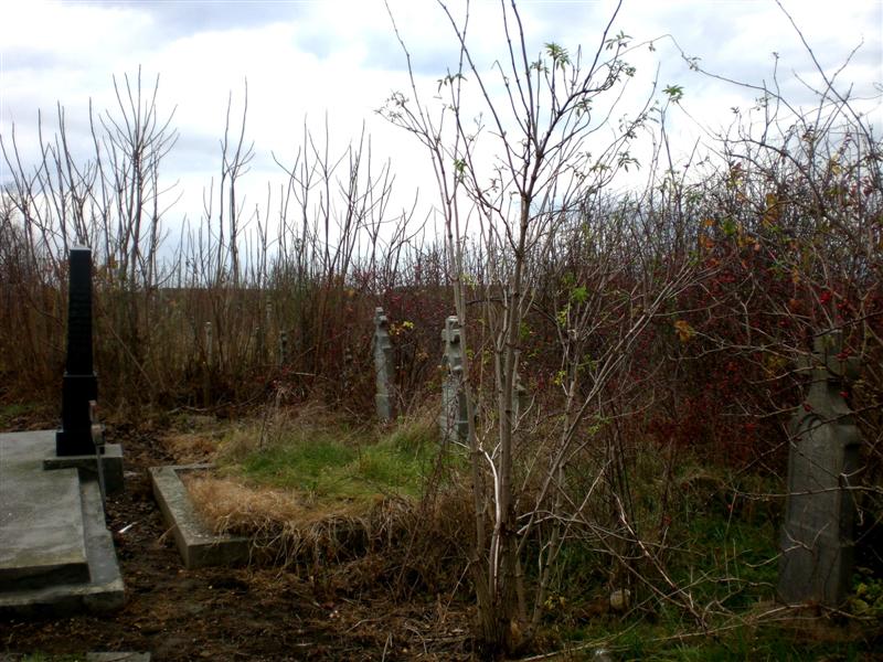 Panorama Friedhof KlJ 11_2010 (2)