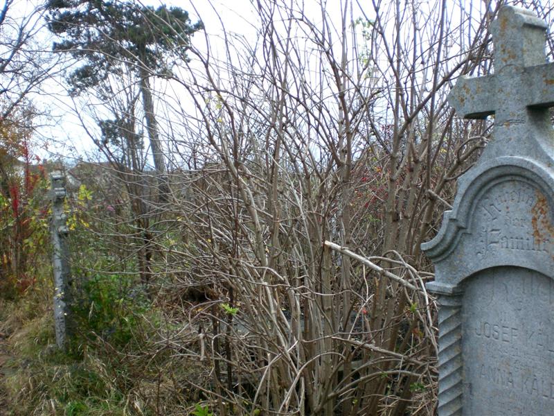 Panorama Friedhof KlJ 11_2010